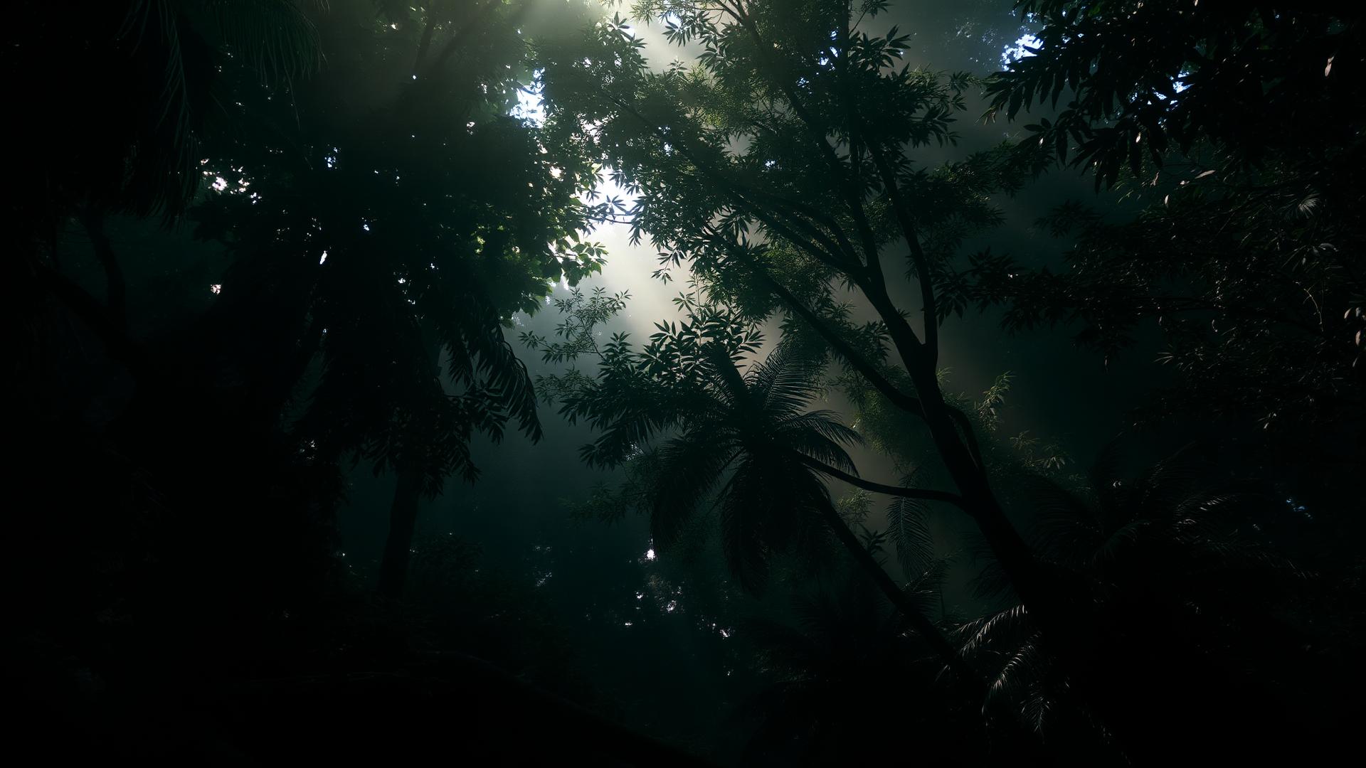 Dense jungle canopy covering Angaur's interior